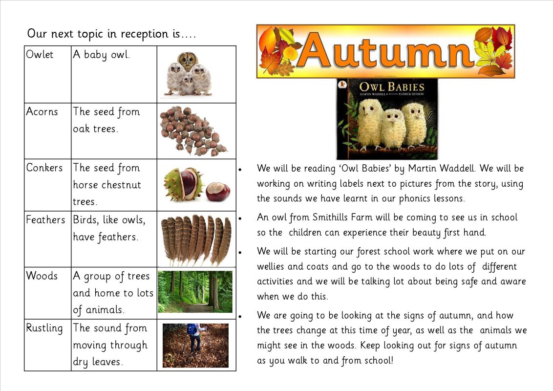 Image of Autumn in Reception