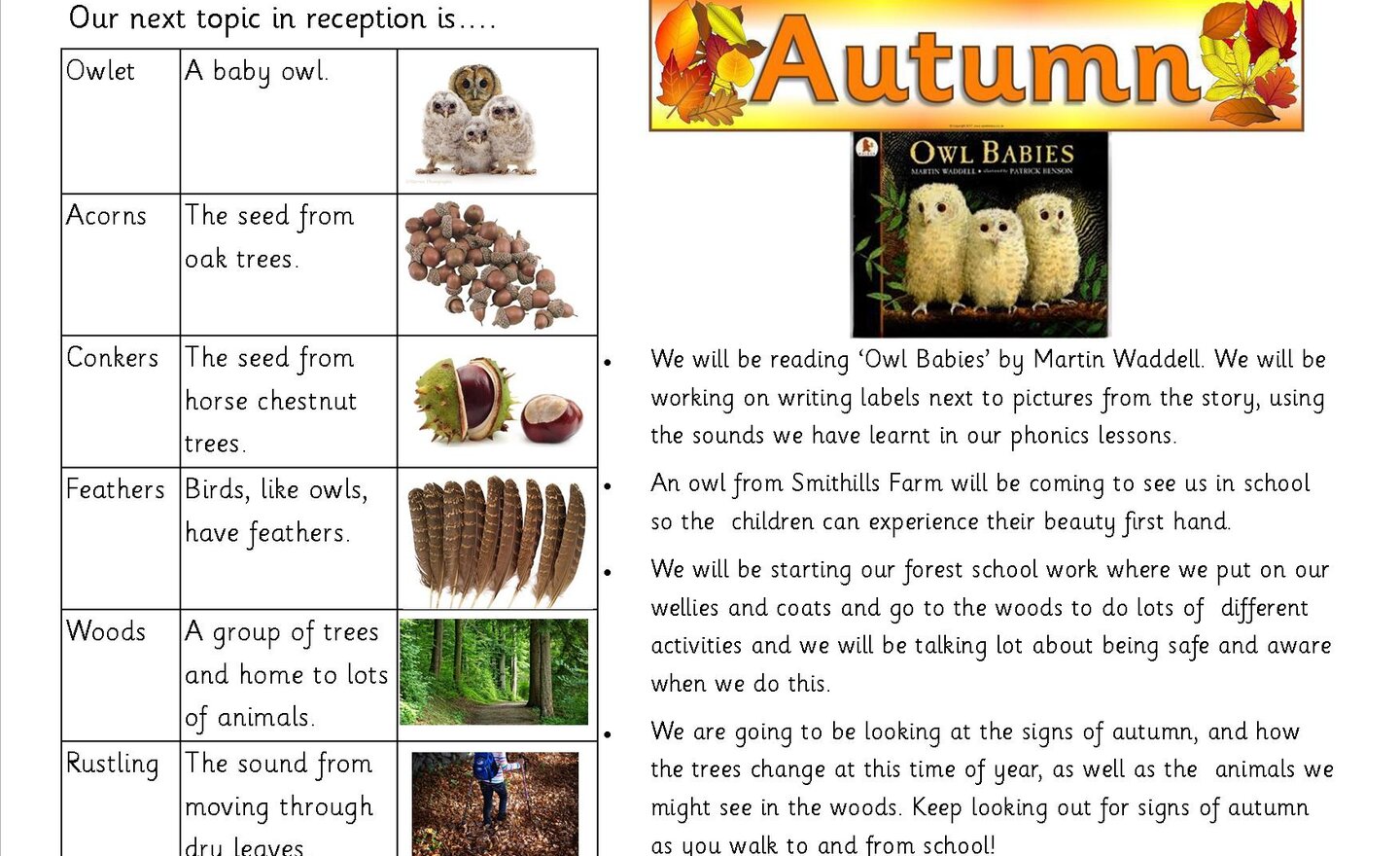 Image of Autumn in Reception